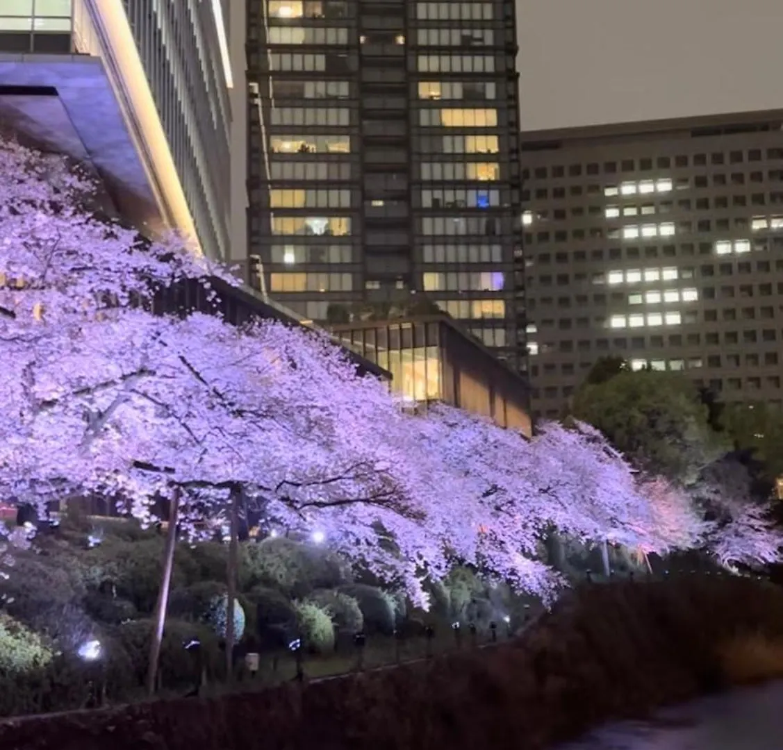 渋谷ライオンズマンション道玄坂七 Apartment Tokyo